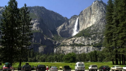 Tree Limb falls in Yosemite National Park, kills Two Campers