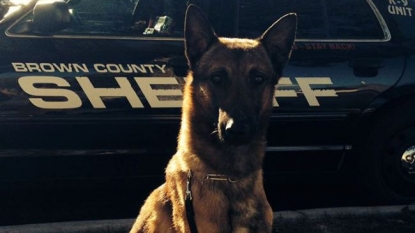 Police dog dies at PGA Championship; air conditioner failed