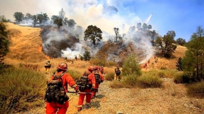 Firefighters contain half of wildfire near California wine region