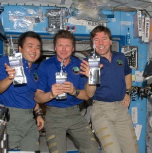 Suntory sends whisky into space for testing