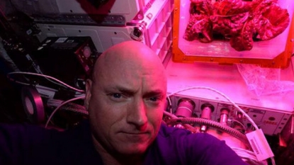 Lettuce Feast: Astronauts Get First Taste of Veggies Harvested in Space