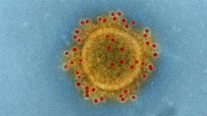 Saudi Arabia closes emergency ward as MERS infections soar before Hajj