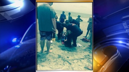 Shark attack victim helped her friend despite being bitten