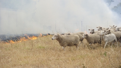 Australia criticised over greenhouse-gas reduction target