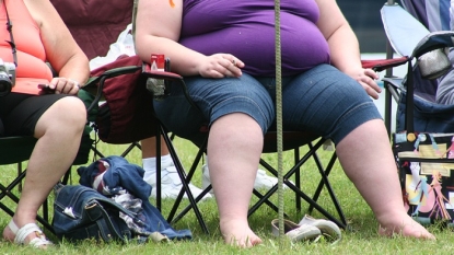 Scientists find how obesity gene works, a clue to treatment