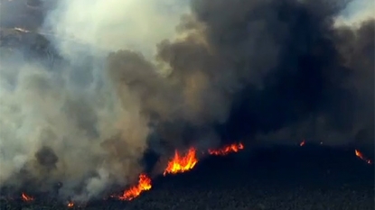 Jerusalem fire grows to 16500 acres