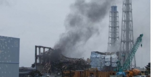 Japan nuclear plant back to operation after Fukushima tragedy