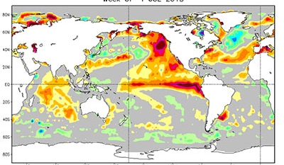 Warm blob of ocean water, drought warming Puget Sound water