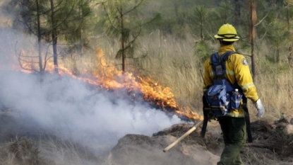 Washington Stickpin fire shows minimal growth toward border