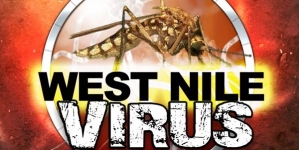 West Nile virus detected in mosquitoes in Md