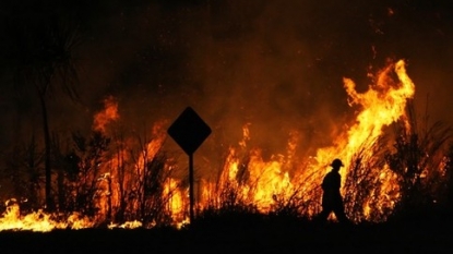 Autopsy this Week on Firefighter Killed in Calif. Blaze