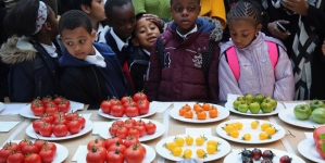 Young picky eaters may have depression, anxiety later in life