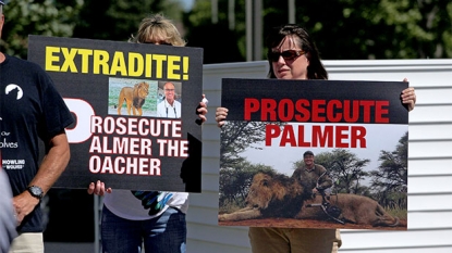 Zimbabwe confirms lion named Jericho has not been shot