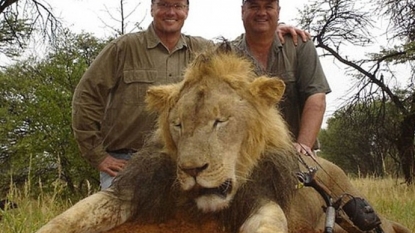 Zimbabwe to US: Extradite dentist over killing of Cecil the lion