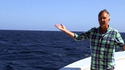 Blue whale interrupts BBC presenter right on cue