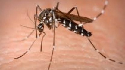 3 human West Nile cases in Southern California