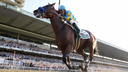 American Pharoah to run in Breeders’ Cup Classic after Travers setback