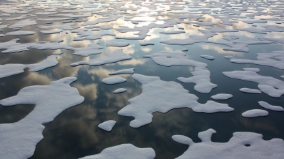 Arctic’s Summer Ice Cover Drops to Fourth Lowest Extent on Record