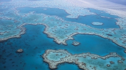 Australia’s Great Barrier Reef needs more care