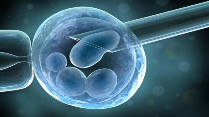 British scientists seek to modify genes of human embryos