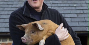 Book: UK PM Did Something Disturbing With Pig’s Head