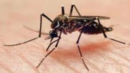 Delhi Government Show-Causes 2 Hospitals for Refusing 7-Year-Old Dengue Patient