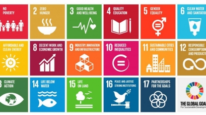 EXPERT COMMENT: UN Sustainable Development Goals Summit