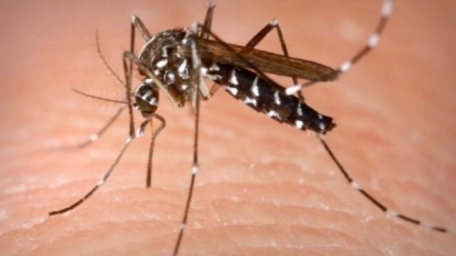 Health Department Confirm One New West Nile Virus Case In Oklahoma Co