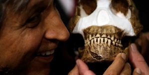 Homo Naledi discovery ‘to take time to interpret’