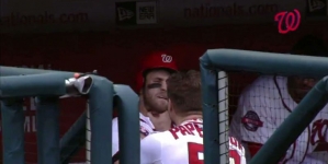 Jonathan Papelbon Goes After Bryce Harper In Nationals Dugout