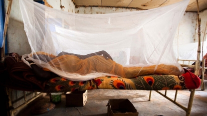 Malaria Death Rates Reduce By 60% in 15 years