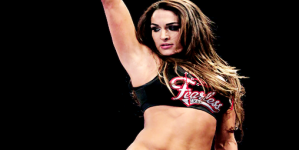 Nikki Bella is the Divas Division’s Version of The Honky Tonk Man