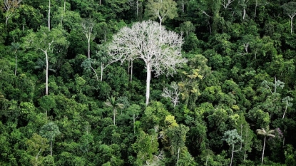 Oldest Evidence of Decapitation found in Lapa do Santo Site in Brazil