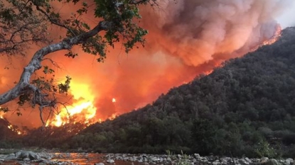 New wildfire in Northern California kills 1; damage mounts