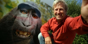 Monkey Selfie Lawsuit: PETA Argues That Macaque Holds Copyright to Photo