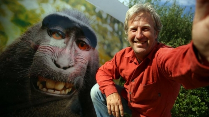 Monkey Selfie Lawsuit: PETA Argues That Macaque Holds Copyright to Photo