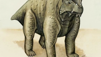 Prereptile Could Be Earliest To Walk Upright, 260 Mln Years Ago