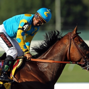 Racing: Triple Crown hero Pharoah pointed at Breeders’ Cup