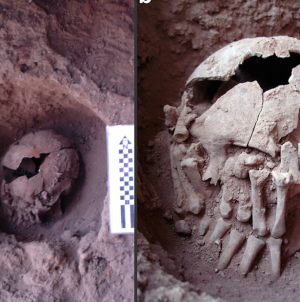 Researchers Discover 9000-year-old Ritualized Decapitation