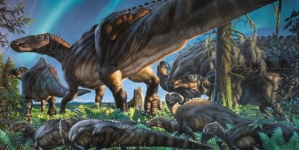 Researchers say fossils of new plant-eating dinosaur species found in northern