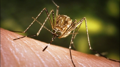 Rogers County Resident Latest West Nile Virus Death