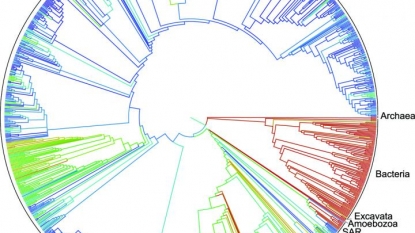 Scientists Create 1st ‘Tree of Life’ for Around 2.3 mn Species