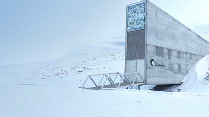 Doomsday Seed Vault Withdrawal Is Needed to Replenish War-Torn Syria