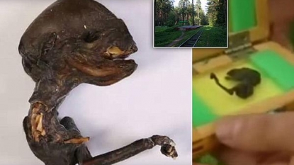 Possible ‘Alien’ corpse found in Russian Federation