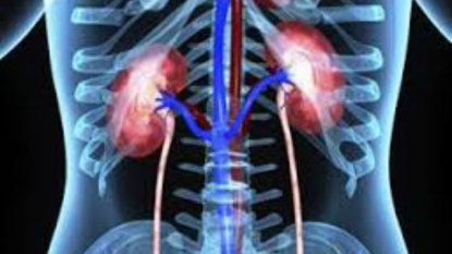 Two Drugs Work Better than Current Kidney Care Treatment