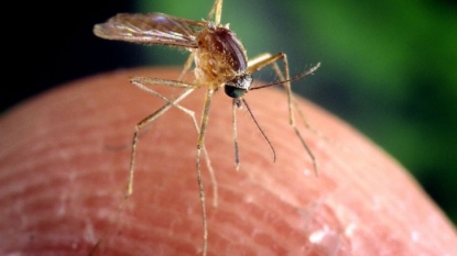 3rd Idaho person infected with West Nile virus