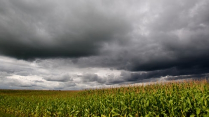 Ag lawmakers back budget after vow to kill crop insurance cuts