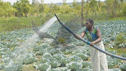 World Food Day: Can we make hunger history?