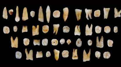 Ancient teeth found in China challenge modern human migration theory