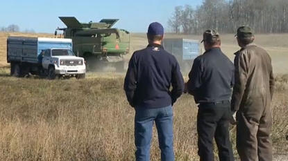 Canada: Three sisters buried alive by grain in freak accident